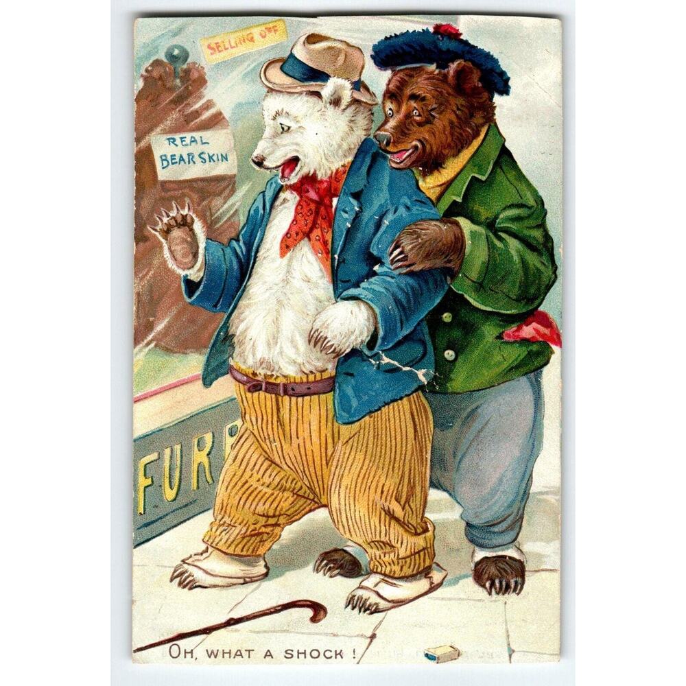 Dressed Bears Shopping Tuck Fantasy Postcard Oh What A Shock Bear Skin 1908